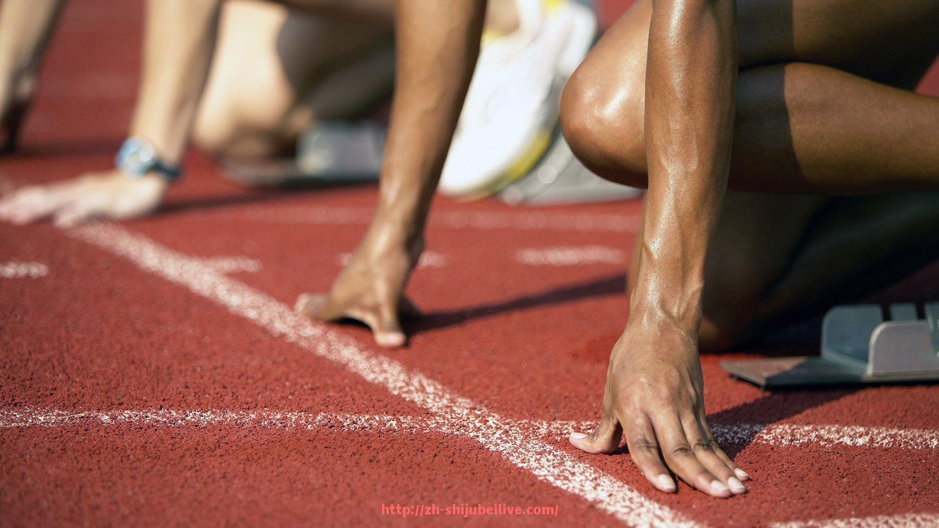 世俱杯直播-适合男士使用的健身器材类型及训练方案